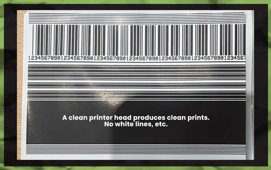 A clean printer head produces clean prints. no white lines and other damages photo