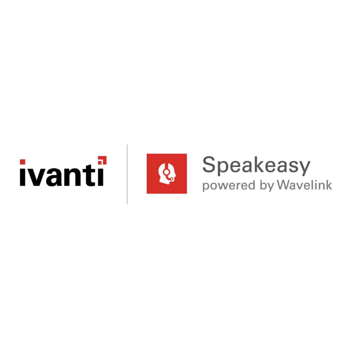 130-LM-VELVO Speakeasy License and 1 Year Maintenance-1