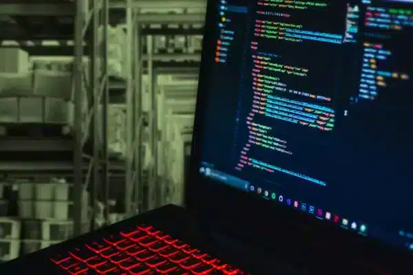 Custom Software Solutions - Services
